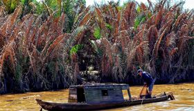 Begin your visa-prepared day with Vietnam’s tranquil ambiance